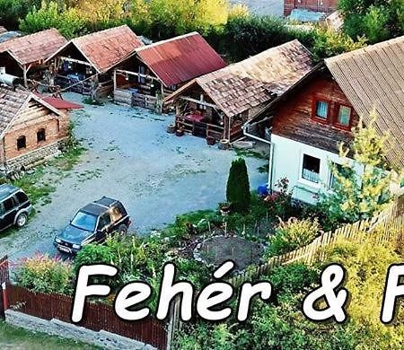 Casa Rustic Feher & Fekete Vendeghazak Sovata Eksteriør billede
