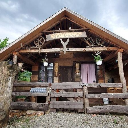 Casa Rustic Feher & Fekete Vendeghazak Sovata Eksteriør billede
