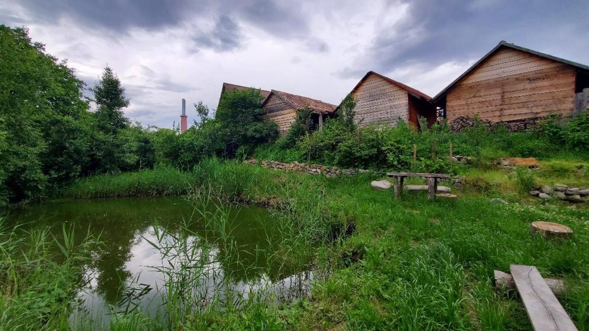 Casa Rustic Feher & Fekete Vendeghazak Sovata Eksteriør billede